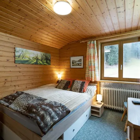 Haus Spertental Appartement Kirchberg in Tirol